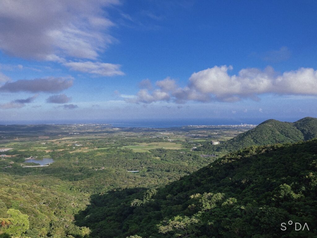 渡り鳥観察所 風景